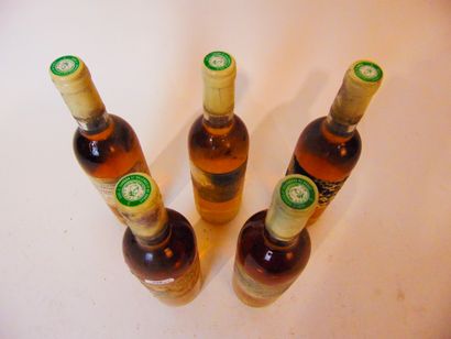 LOT-ET-GARONNE (CÔTES-DE-DURAS) Blanc, Domaine du Grand Mayne 1998, cinq bouteilles...