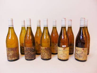 VALLÉE-DU-RHÔNE (CHÂTEAUNEUF-DU-PAPE) Blanc, 1994, dix bouteilles [altérations aux...