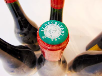 VAL-DE-LOIRE Rouge, dix bouteilles :

- (CHINON), Clos de Neuilly 1998, une bouteille...