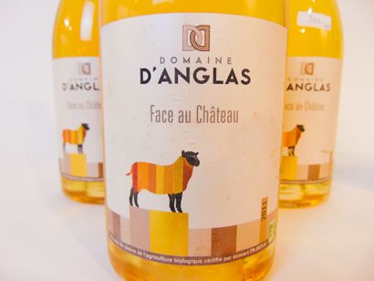 LANGUEDOC Blanc, Domaine d'Anglas - Face au Château 2011, trois bouteilles.



On...