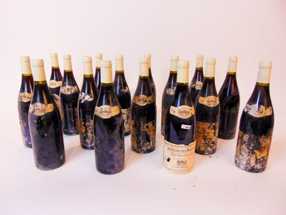 BOURGOGNE (SAVIGNY-LÈS-BEAUNE) Rouge, Domaine Ardhuy 1998, seize bouteilles [étiquettes...