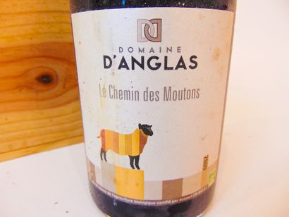 LANGUEDOC (TERRASSES-DU-LARZAC) Red, Domaine d'Anglas 2009, fifteen bottles.