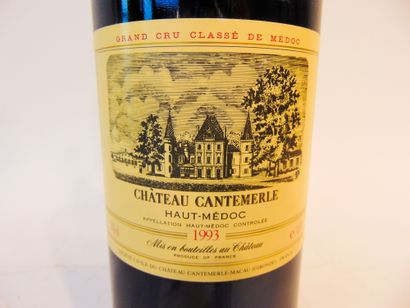 BORDEAUX (HAUT-MÉDOC) Red, Château Cantemerle, 5th Grand Cru Classé 1993, one magnum...