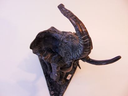 T' SERSTEVENS Hervé "Couple d'éléphants", 2019, épreuve en bronze à patine nuancée,...