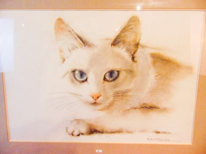 THOMAS Gilberte "Chat aux yeux bleus", fin XXe, aquarelle sur papier, signée en bas...