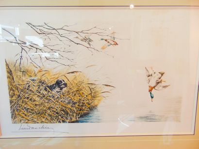 DANCHIN Léon (1887-1938) "Setter and Ducks", 20th, polychrome lithograph, signed...