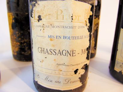 BOURGOGNE (CHASSAGNE-MONTRACHET) Rouge, Domaine René Lamy 1996, sept bouteilles [étiquettes...