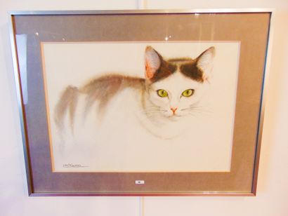 THOMAS Gilberte "Cat with green eyes", late 20th century, watercolour on paper, signed...