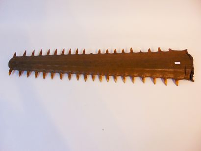 null Sawfish rosette, l. 94 cm.