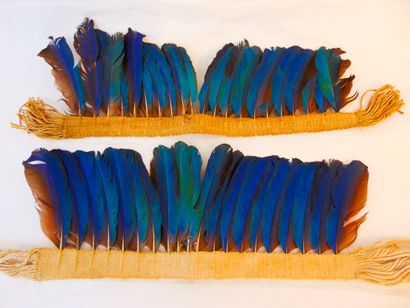 AMAZONIE Set of tribal ornaments, 20th century, feathers and plant fibers, eight...