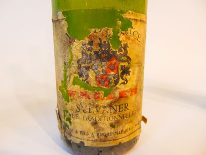 null Varia of wines, ten bottles [various states]; one of beer is enclosed.