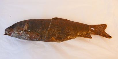 null Fish in cardboard, formerly polychromed au naturel, l. 71 cm [very damaged]...