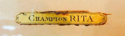 MAHLER P. "Champion Rita (Setter anglais)", estampe, étiquette [ADOLPHE LEGOUPY (Paris)]...