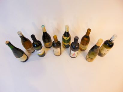 null Varia de vins, dix bouteilles [états divers] ; on y joint une de bière.