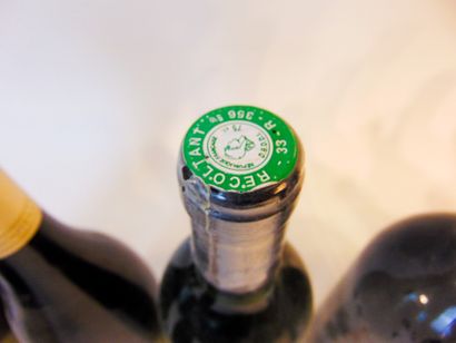 null Miscellaneous wines, white, ten bottles:

- BORDEAUX (-SUPERIOR), Château Grand...
