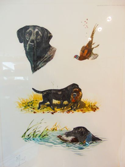 RIAB, RIABOUCHINE Boris dit (1898-1975) "Studies of labrador and pheasant", 20th,...