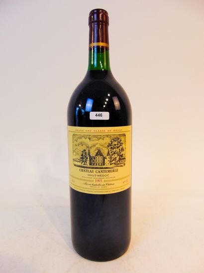 BORDEAUX (HAUT-MÉDOC) Rouge, Château Cantemerle, 5e grand cru classé 1993, un magnum...