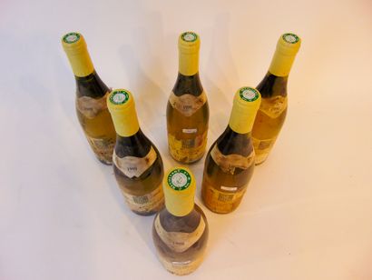 BOURGOGNE (SAVIGNY-LÈS-BEAUNE) Blanc, Philippe Dubreuil-Cordier 1998, six bouteilles...