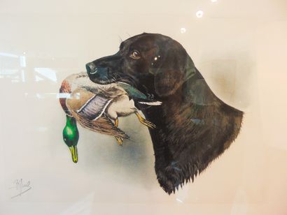 RIAB, RIABOUCHINE Boris dit (1898-1975) "Labrador with a duck", 20th, polychrome...