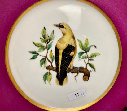 DESCAMPS - BRUXELLES Trois assiettes à décors polychromes d'oiseaux branchés (loriot...