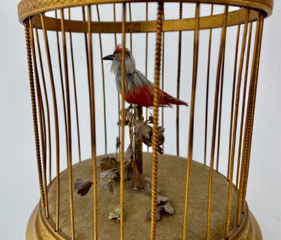 France Cage à oiseau chanteur, XXe, métal doré, marquée et numérotée, h. 29 cm [usures,...