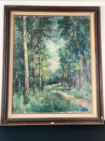 NAVEZ Georges (1890-1975) "Drève ensoleillée", XXe, huile sur toile, signée en bas...