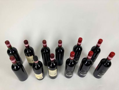 ITALIE Lot of twelve bottles (red):

- Zonin 1996, two bottles [bottom neck, faded...