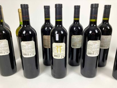 ARGENTINE Lot of fourteen bottles:

- Finca Flichman / Vino Reserva - Malbec 2004...