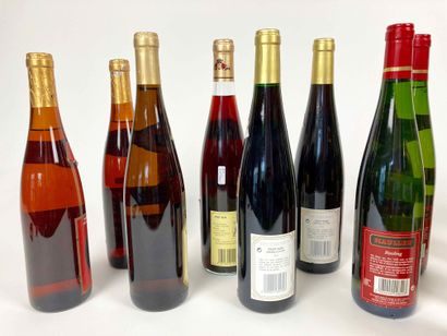 ALSACE Lot of sixteen bottles:

- Cave vinicole de Pfaffenheim - Pinot noir 1992...