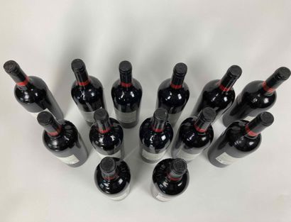 AUSTRALIE Badgers Creek - Shiraz Cabernet 2009 (rouge), douze bouteilles ; on y joint...