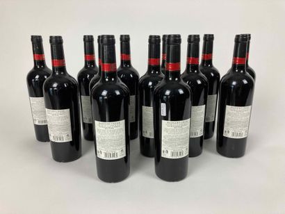 AUSTRALIE Badgers Creek - 2009 Shiraz Cabernet (red), twelve bottles; one 2008 bottle...