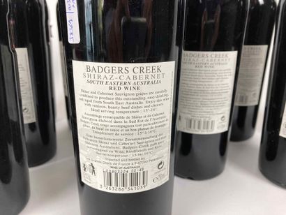AUSTRALIE Badgers Creek - 2009 Shiraz Cabernet (red), twelve bottles; one 2008 bottle...