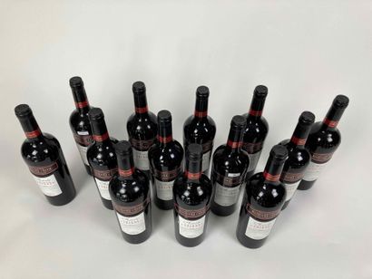 AUSTRALIE Badgers Creek - Shiraz Cabernet 2009 (rouge), douze bouteilles [deux étiquettes...
