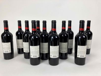 AUSTRALIE Badgers Creek - 2009 Shiraz Cabernet (red), twelve bottles [two labels...
