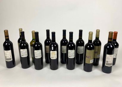 ARGENTINE Lot of fourteen bottles:

- Finca Flichman / Vino Reserva - Malbec 2004...