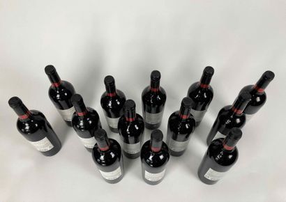 AUSTRALIE Badgers Creek - Shiraz Cabernet 2009 (rouge), douze bouteilles [deux étiquettes...