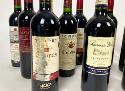 Espagne Lot de dix-huit bouteilles :

- El Coto - Rioja 1985 (rouge), une bouteille...