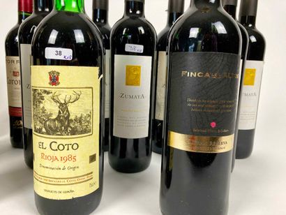 Espagne Lot de dix-huit bouteilles :

- El Coto - Rioja 1985 (rouge), une bouteille...