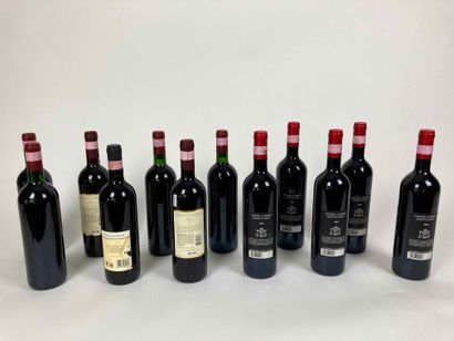 ITALIE Lot de douze bouteilles (rouge) :

- Zonin 1996, deux bouteilles [bas-goulot,...
