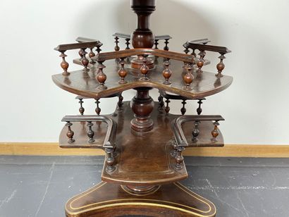 null Napoleon III period revolving pedestal table bookcase, late 19th century, wood...