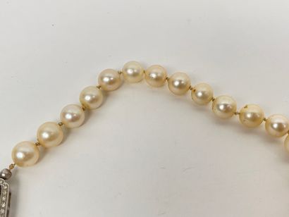 null Collier à double rang de perles, fermoir en or blanc (750 millièmes) serti de...