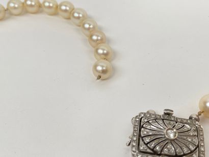 null Collier à double rang de perles, fermoir en or blanc (750 millièmes) serti de...