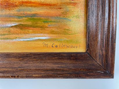 CALLEWAERT M. "Composition à l'iguane", XXe-XXIe, huile sur toile, signée en bas...