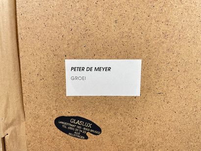 DE MEYER Peter (1981-) "Groei", XXe-XXIe, pastel sur papier, signé en bas à droite,...