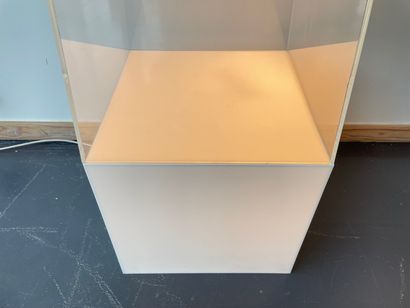null Plexiglas display case, backlit base, 168x38x38 cm.