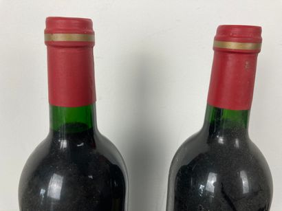 BORDEAUX (MARGAUX) Château Brane-Cantenac, 2nd Grand Cru Classé 1995 (red), two bottles...