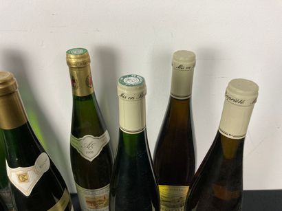 ALSACE et divers Varia of twelve bottles [very slight alterations, as is].