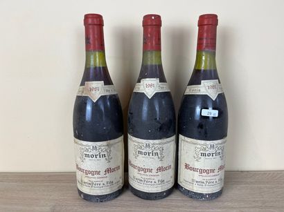 BOURGOGNE (MORIN) Morin Père & Fils 1981 (rouge), trois bouteilles [2 cm, 2,5 cm...