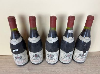 BOURGOGNR (HAUTES CÔTES DE NUITS) Domaine François Berbet 1987 (rouge), cinq bouteilles...