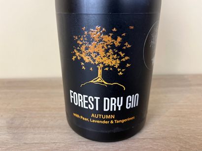 null Forest Dry Gin, une bouteille (50 cl).